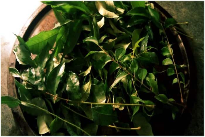 How to make curry leaves mask