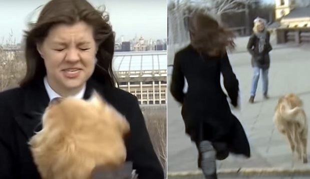 Dog Runs Away With News Reporter’s Microphone, Hilarious Incident Caught on Air | Watch Viral Video