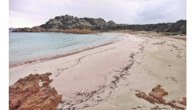 Man, Who Has Lived Alone on an Island For 32 Years, Finally Plans to Leave
