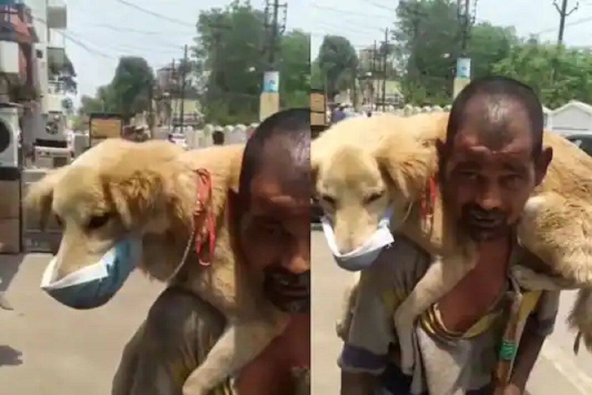 Viral Video: Homeless Man Puts His Only Mask on Dog, Says Won't Let Him Die  | Watch