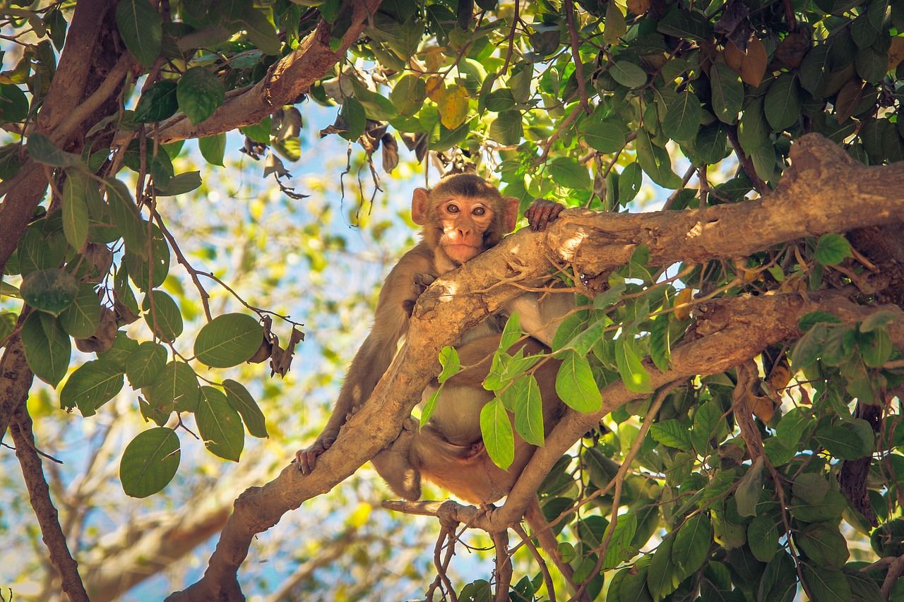 Offbeat Destinations Near Mumbai For A Fun-Filled Weekend Getaway