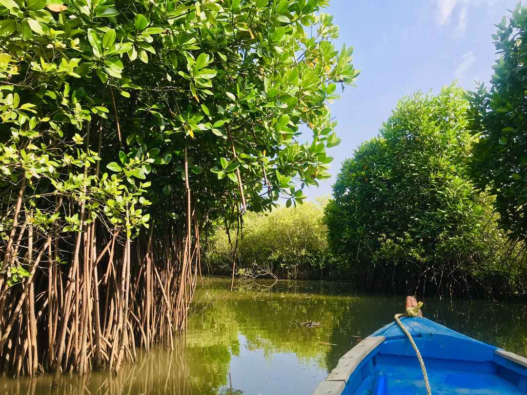 10 Interesting Lesser-Known Places Around Chennai That Are Worth Exploring