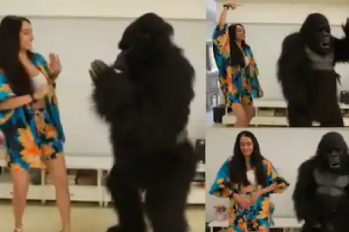 Shraddha Kapoor ने गोरिल्ला के साथ हिलाई कमरिया, इस अंदाज़ में किया डांस- Video Viral - Shraddha kapoor dances with gorilla video went viral - Latest News & Updates in Hindi at
