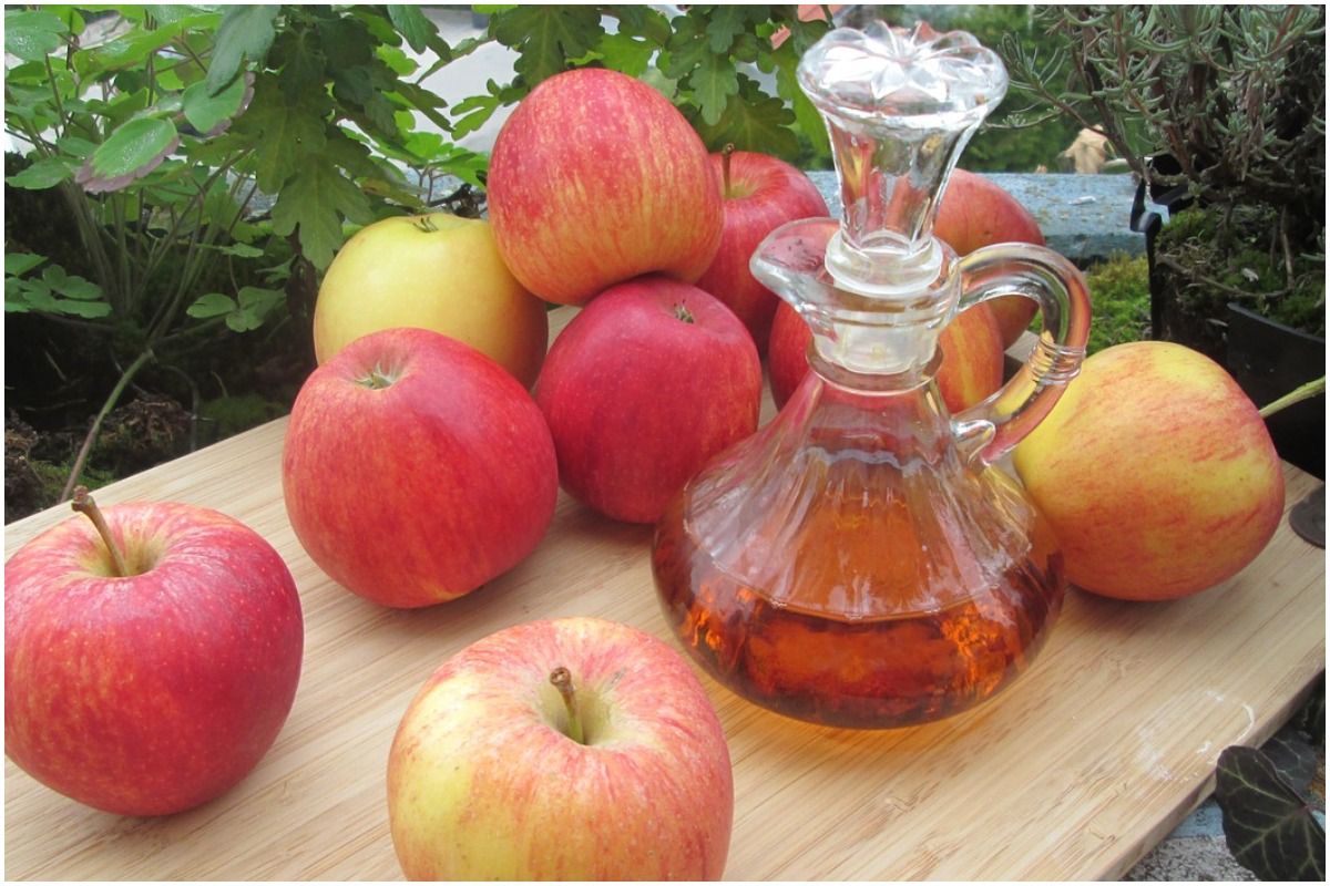 weight-loss-tips-and-precautions-how-to-use-apple-cider-vinegar-in