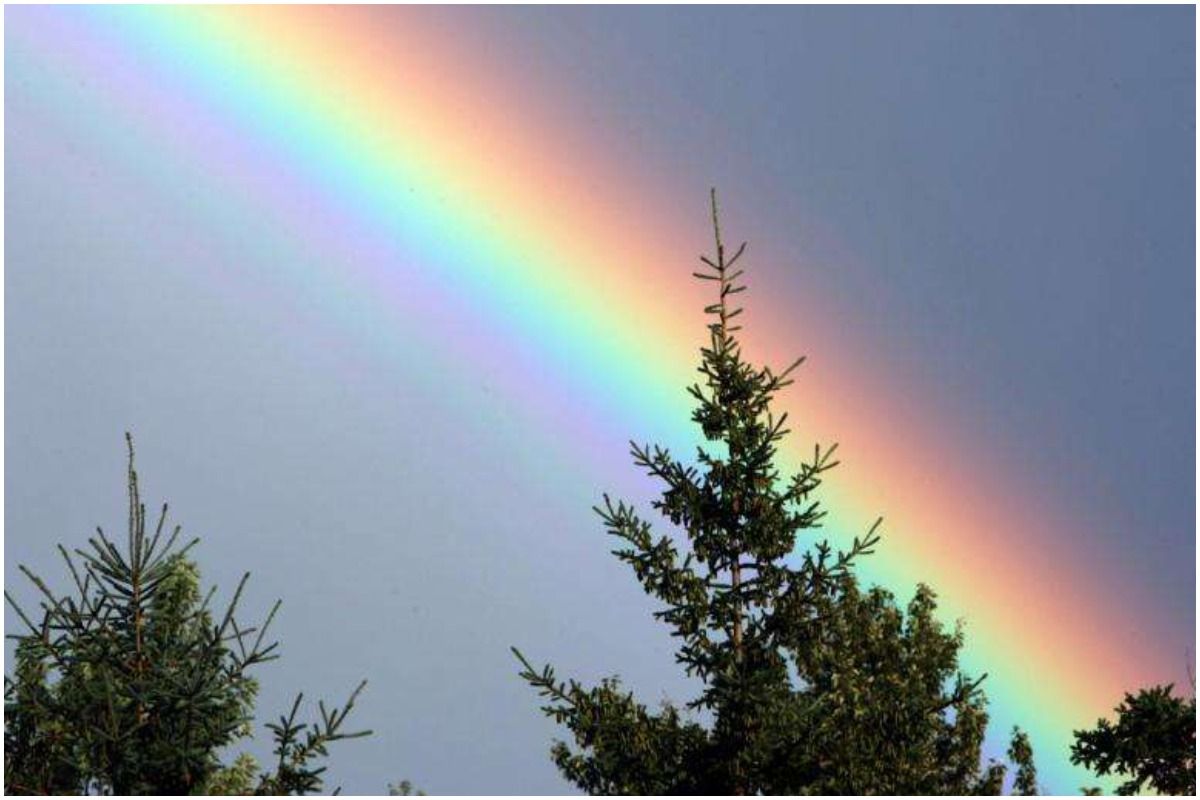 Rainbow In Dreams: सपनों में अगर आपको भी दिखाई दे इंद्रधनुष, तो यहां जानें क्या होता है इसका मतलब