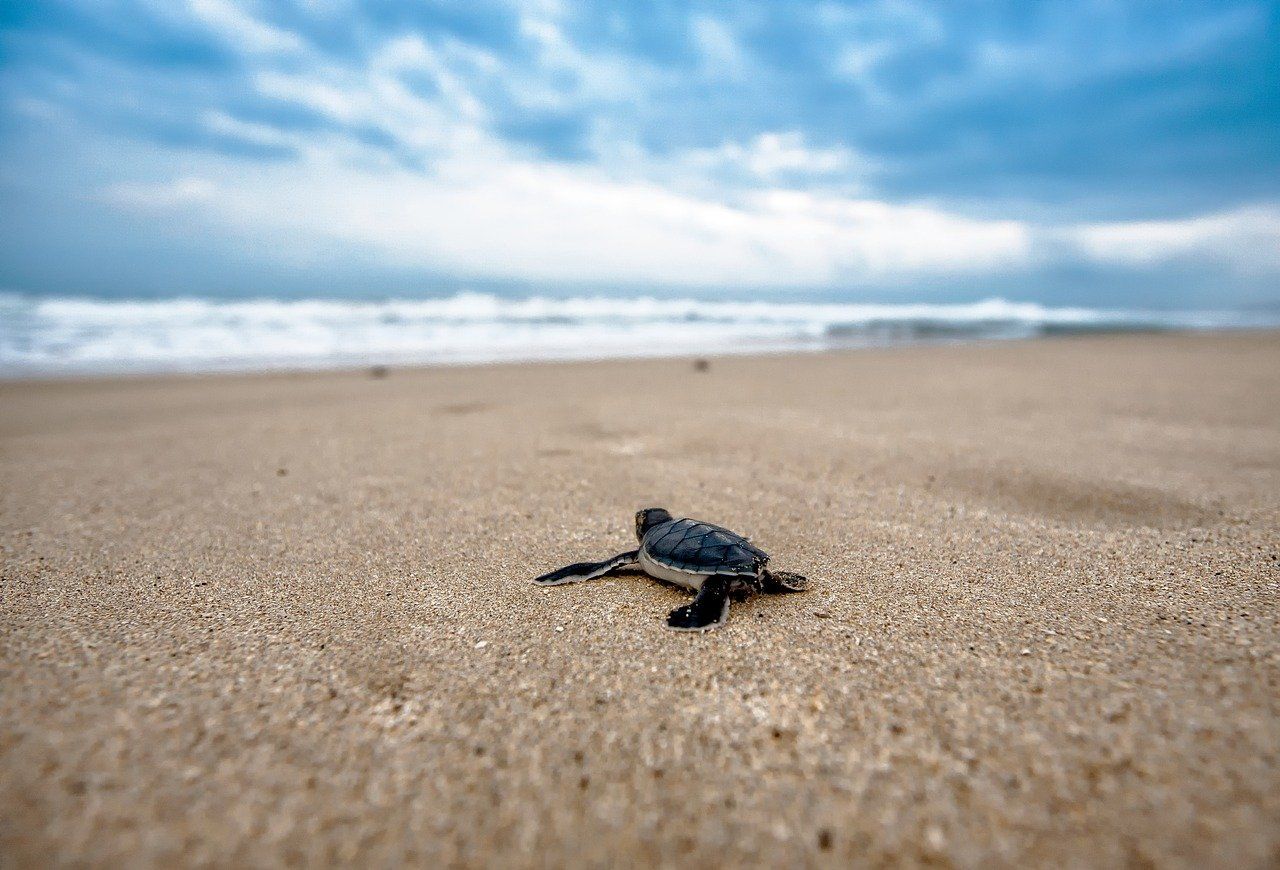 10 Offbeat Destinations Near Mumbai For A Fun-Filled Weekend Getaway
