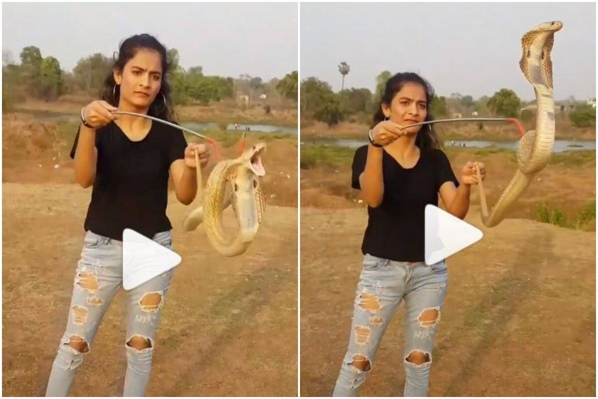 Video of girl fearlessly playing with giant snake shocks netizens