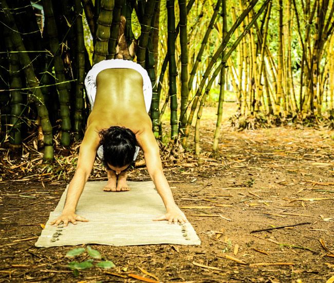 5 Yoga Asanas to Regulate Hormonal Imbalance