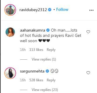Sargun Mehta, Aahana Kumra drop comment on Ravi Dubey's Post
