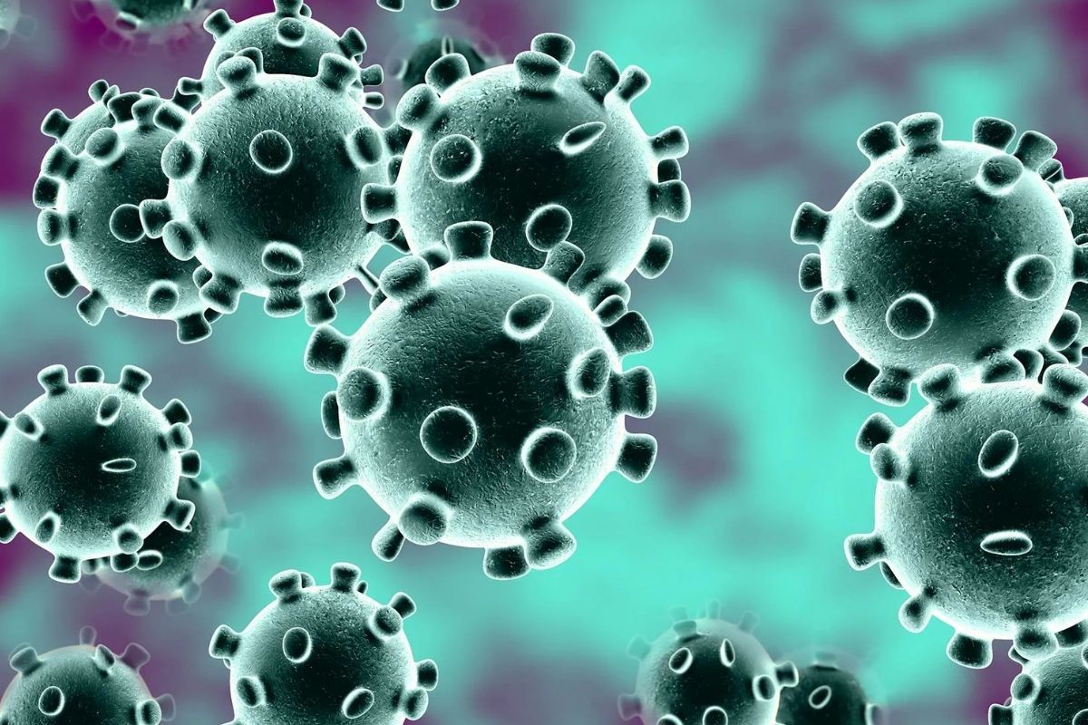 Coronavirus May Not be Long-Term if Vaccinated. Here's Why