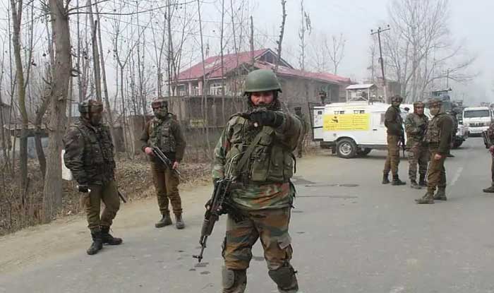 Top Hizbul Mujahideen Commander Killed in Handwara Encounter: Kashmir Police