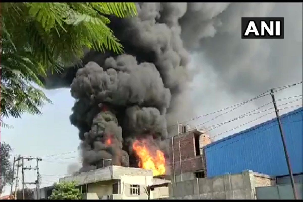 BREAKING: Massive Fire at Carton Factory in Ghaziabad, Over 10 Fire Tenders Rushed