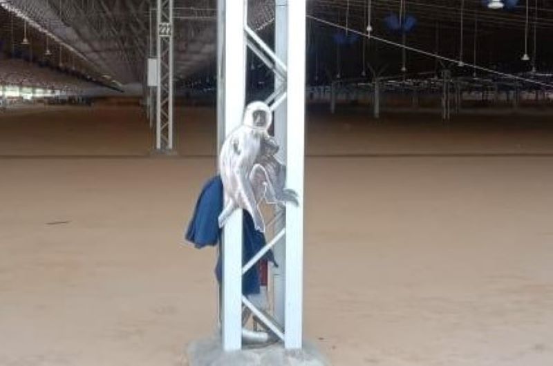 Funny But Effective: Langur Cutouts Used to Scare Off Monkeys at Delhi's ITBP-run COVID Care Centre