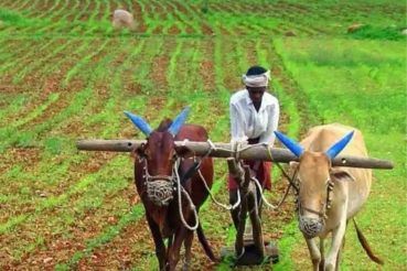 PM Kisan FPO Yojana: जानिए- क्या है FPO और इस योजना से कैसे मिलती है किसानों को मदद? - Pm kisan fpo yojana fpo stands for what and how it helps to