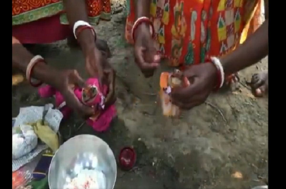 Viral Video: Frogs Married in Tripura To Please Rain God | Watch