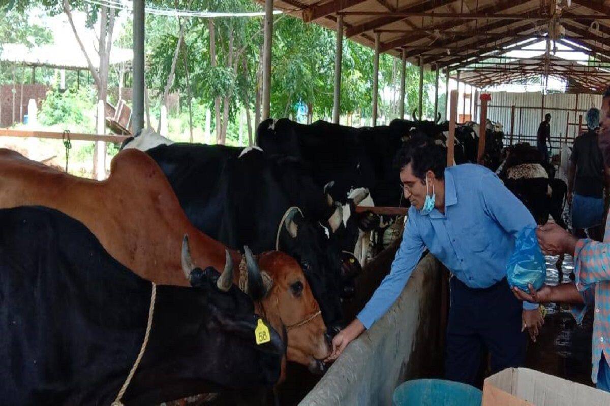 This IIT Graduate Quit His US Job to Buy 20 Cows, Now Earns Rs 44 Crore