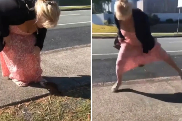 Viral Video: Wild Possum Latches Onto Woman's Dress When She Tries to Play With It | Watch Hilarious Video