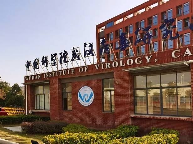 Wuhan Lab Suspected Of Leaking Covid 19 Nominated For Top Science Award In China Basic Article