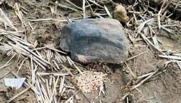 Farmer Fined Rs 21,000 For Damaging Stone Idol, Threatened With Social Boycott If He Refuses to Pay