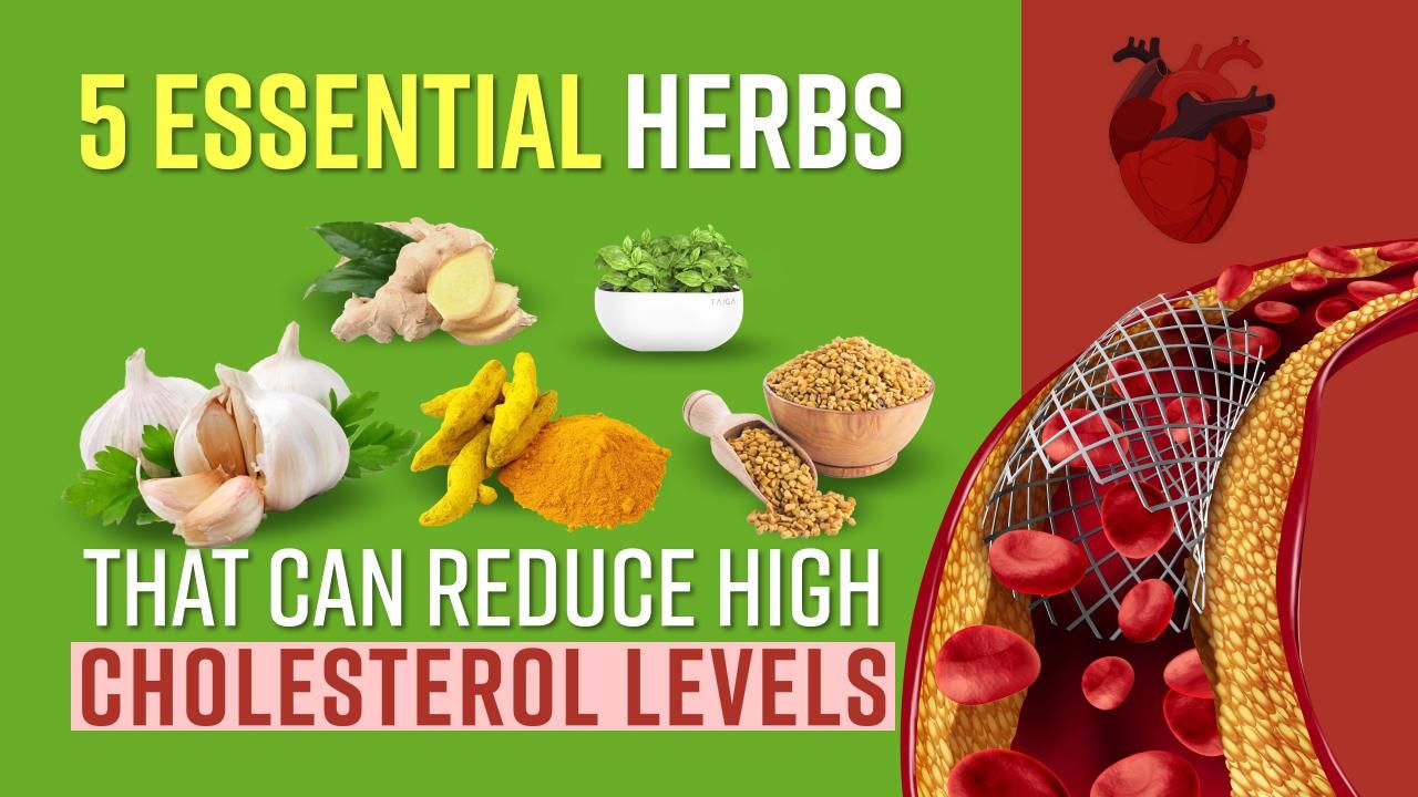 facing-cholesterol-issues-5-essential-herbs-that-can-reduce-high