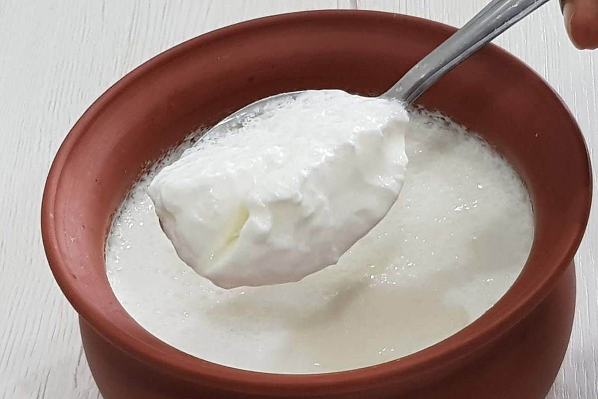 6 Food Items That You Should Stop Eating With Curd