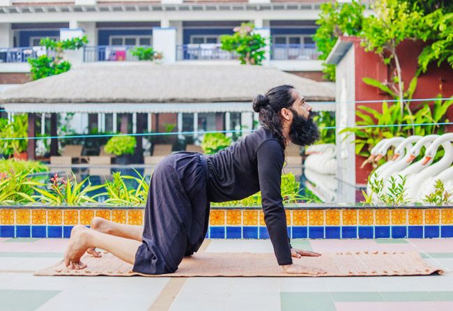 Morning Yoga Asanas: 5 Easy Poses to Revamp Your Mind And Body