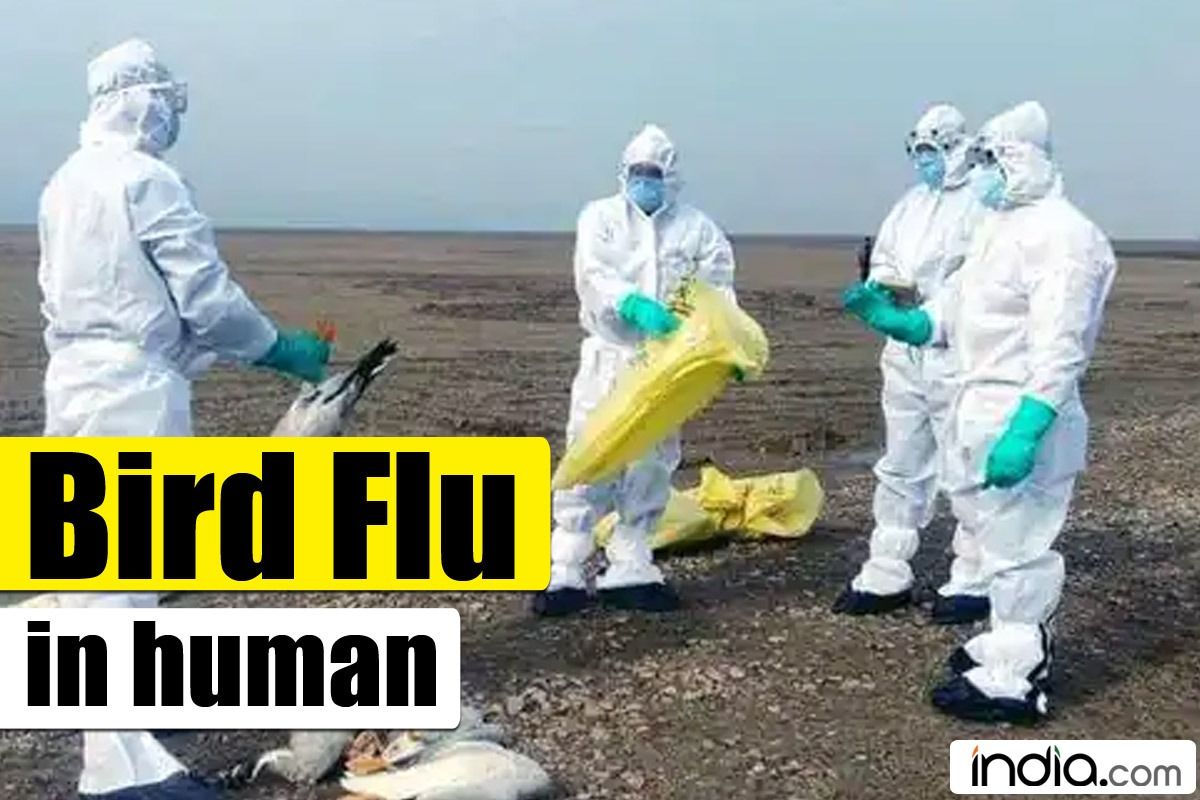 First Case of Avian Influenza in Human Reported In China. Should You be Worried?