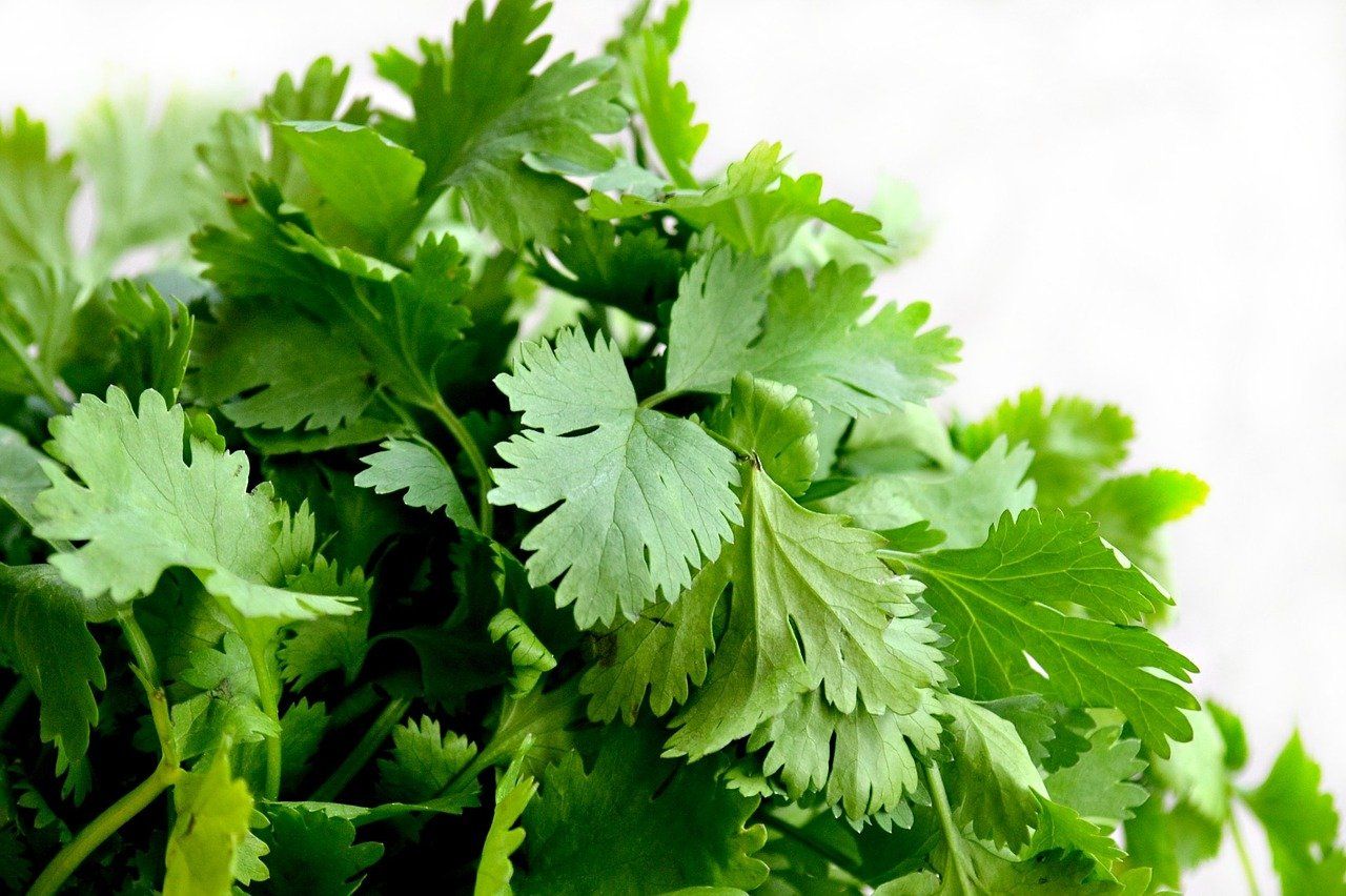 7 Health Benefits of Eating Dhania And Pudina Chutney