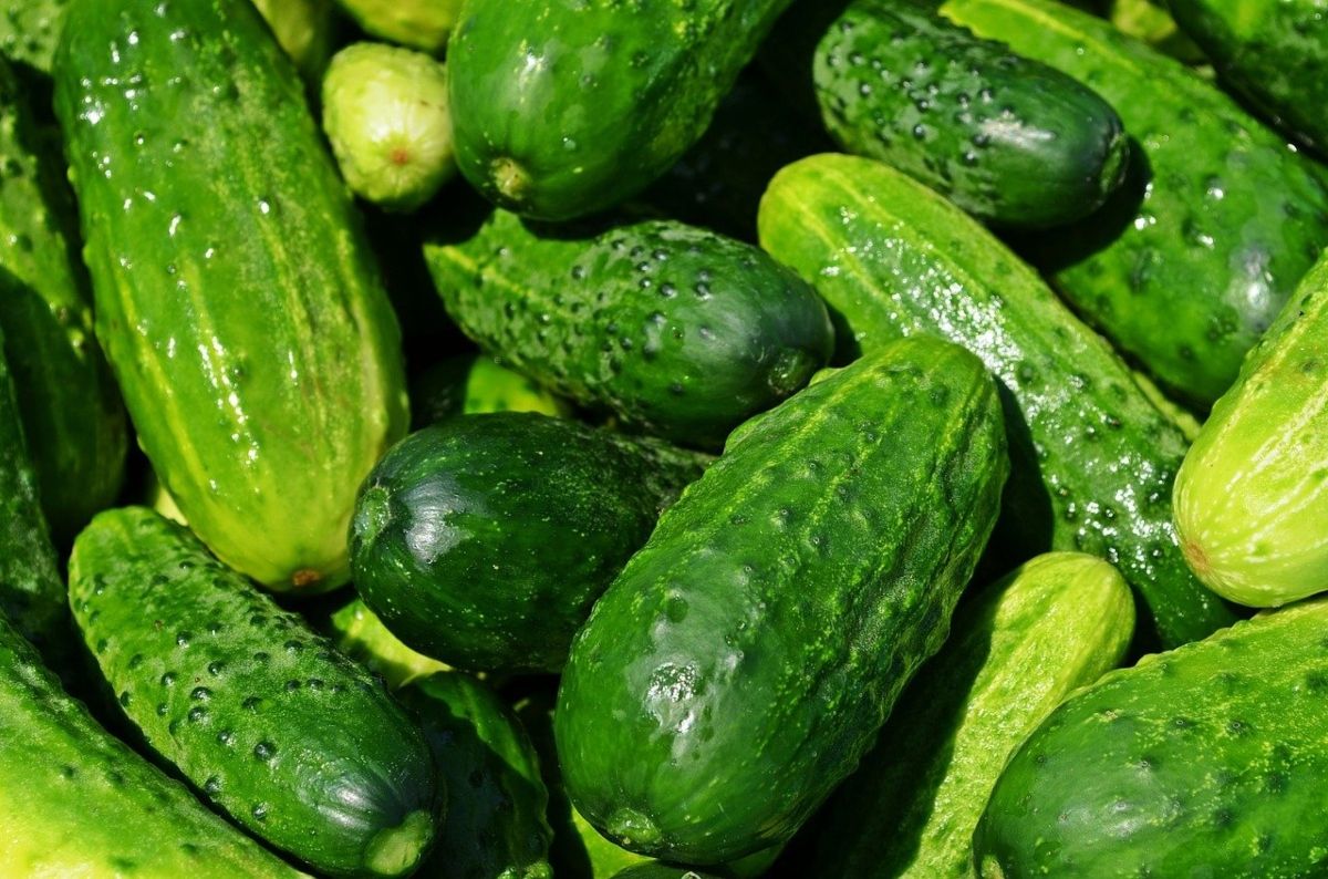 Five Foods That You MUST Have to Keep Yourself Going in Summer