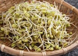 Sprounted methi seed