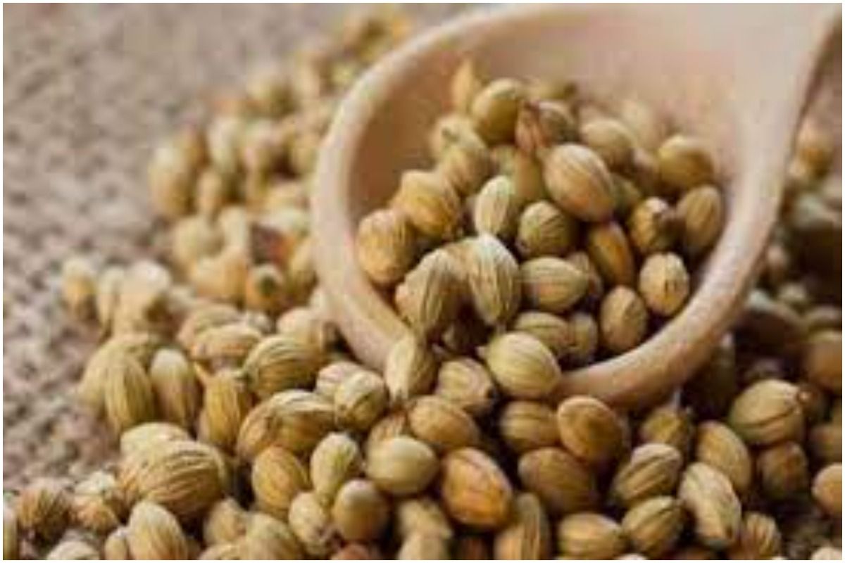 Coriander Water Benefits In Hindi रोजाना सुबह उठकर पीएं धनिया का पानी
