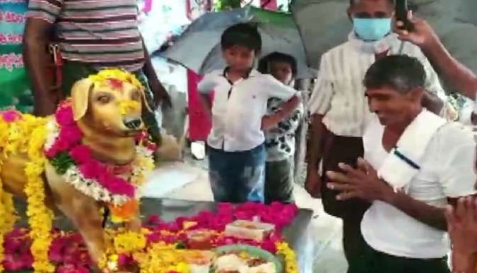 Pet Love: Andhra Man Erects Bronze Statue of His Late Dog on 5th Death ...