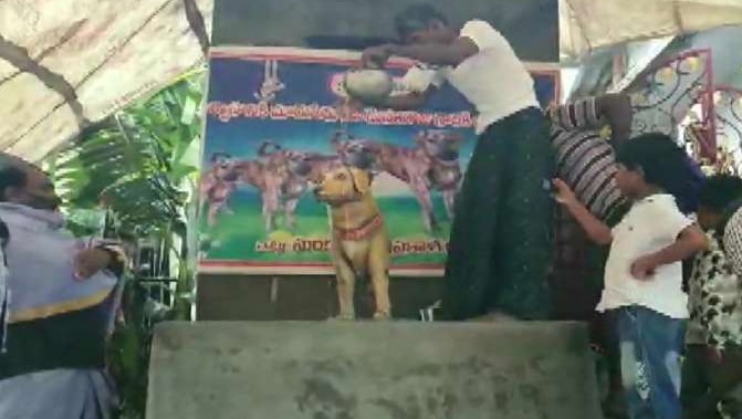 Pet Love: Andhra Man Erects Bronze Statue of His Late Dog on 5th Death ...