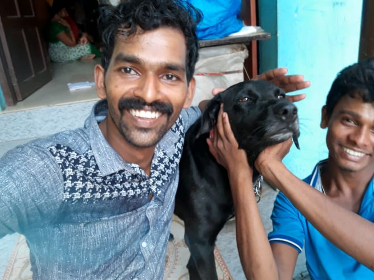 Animal Cruelty: Dog Brutally Beaten to Death by 3 Youths in Kerala, Outraged Netizens Trend 'Justice For Bruno'