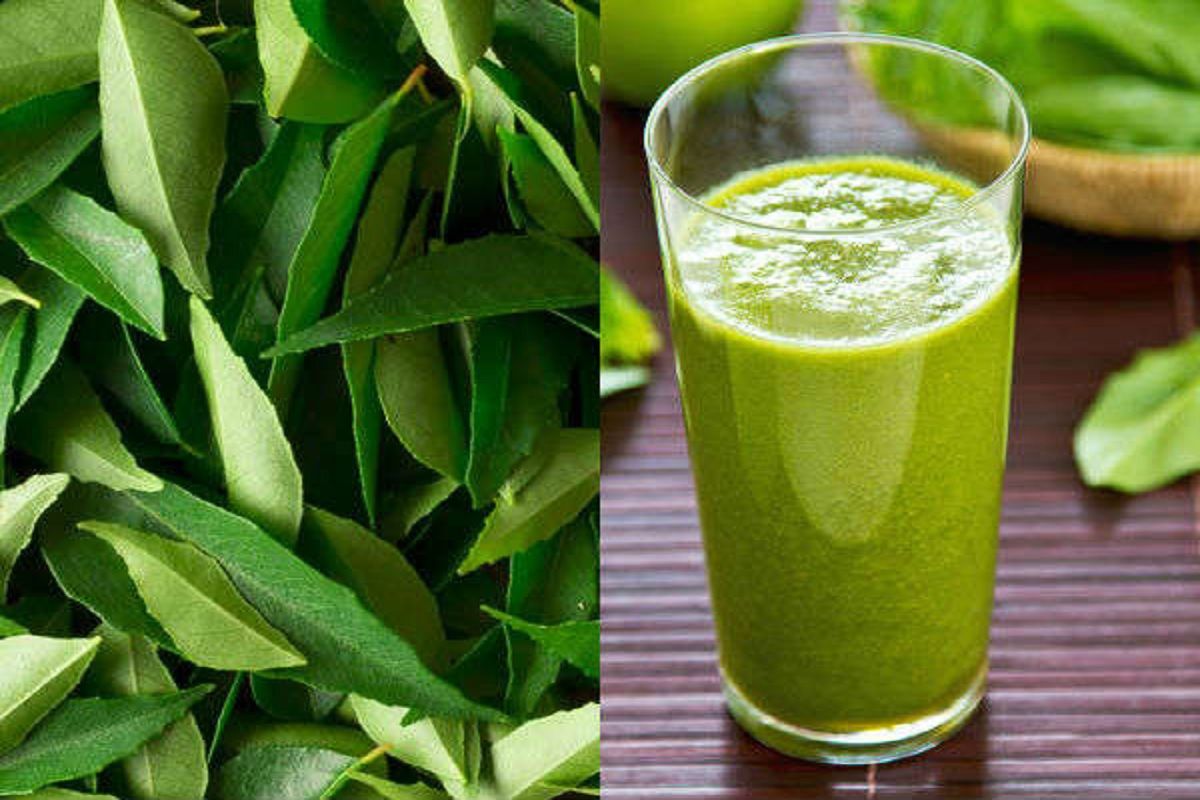 Curry Patta Juice: तुम्ही कधी कढीपत्त्याचा ज्यूस आरोग्यदायी?, फायदे ...