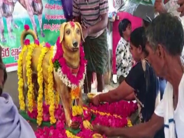 Pet Love: Andhra Man Erects Bronze Statue of His Late Dog on 5th Death ...
