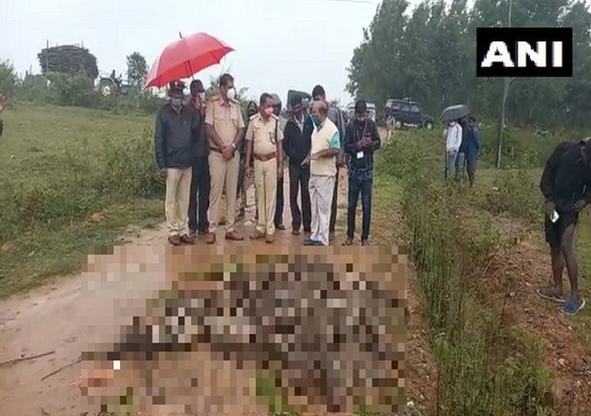 Around 46 Monkeys Poisoned to Death in Karnataka's Hassan