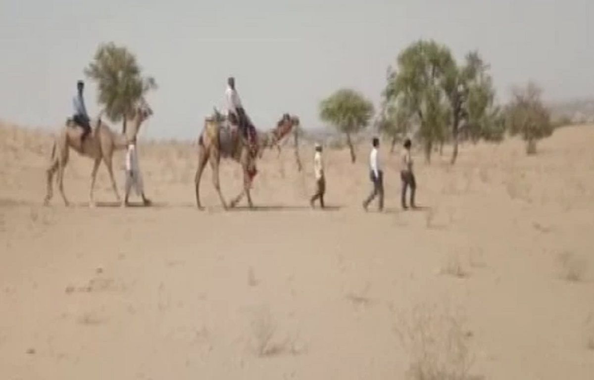 Rajasthan Teachers Travel by Camels to Teach Students Without Phones, Mobile Networks