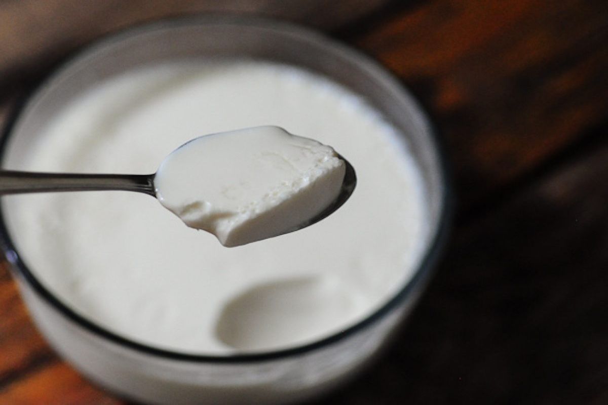 curd-dahi-for-weight-loss-find-out-how-you-can-get-a-flat-belly