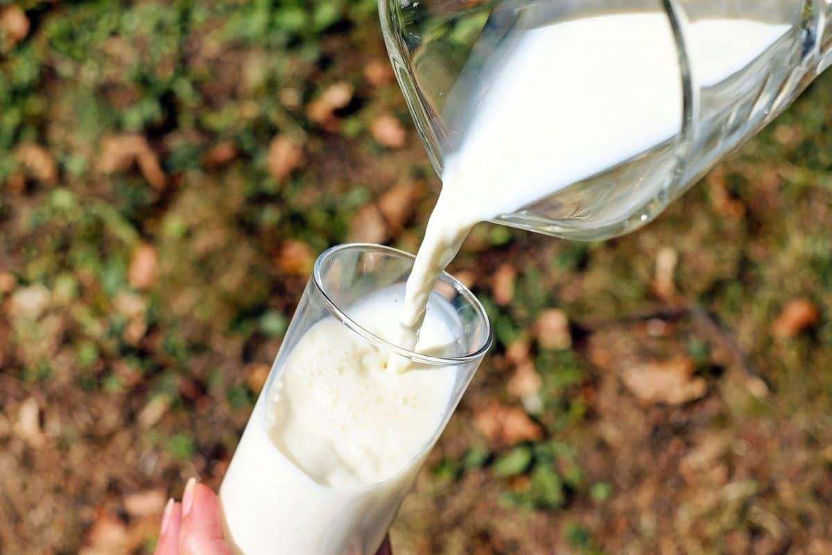 Calories in 1 Glass of Milk, Nutrition, Weight Loss - Bodywise