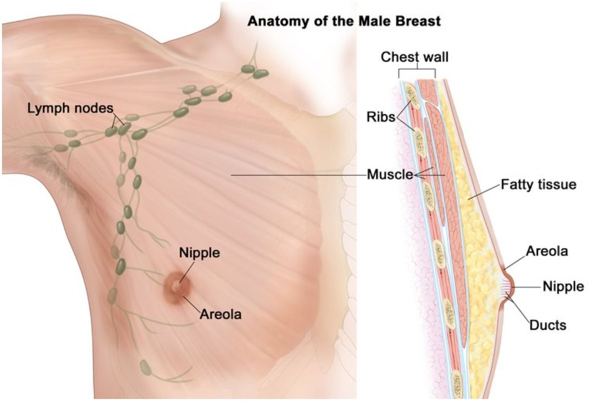 Breast Cancer in Men: Early Symptoms, Risk Factors Involved And Treatment