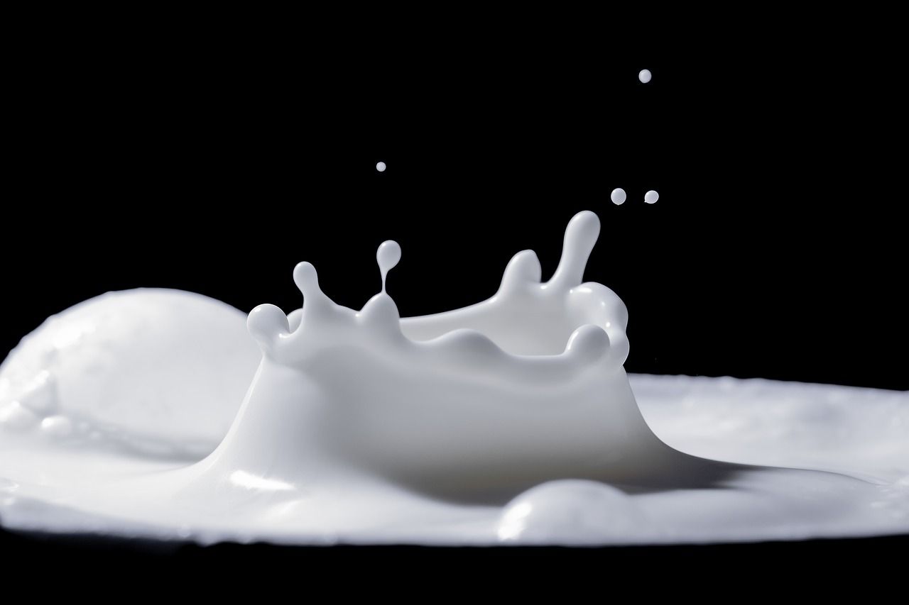 One Glass of Milk Daily Can Help You Lose Weight Fast | Read What Expert Says