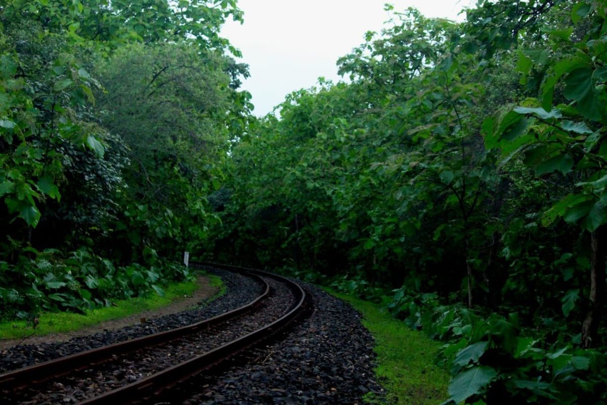 Breathtaking Monsoon As Captured Through The Lens of Western Railways | Photos