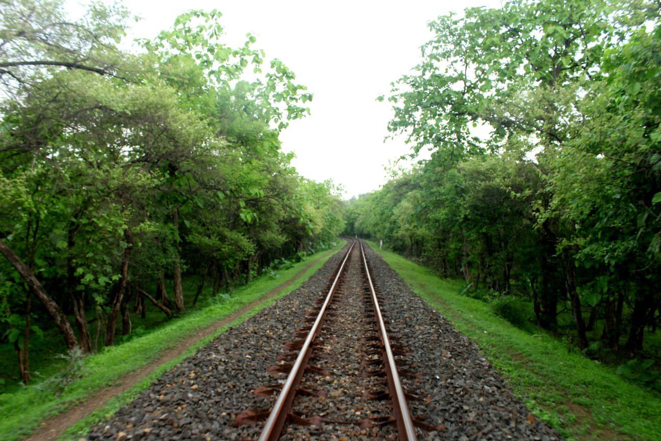 Breathtaking Monsoon As Captured Through The Lens of Western Railways | Photos
