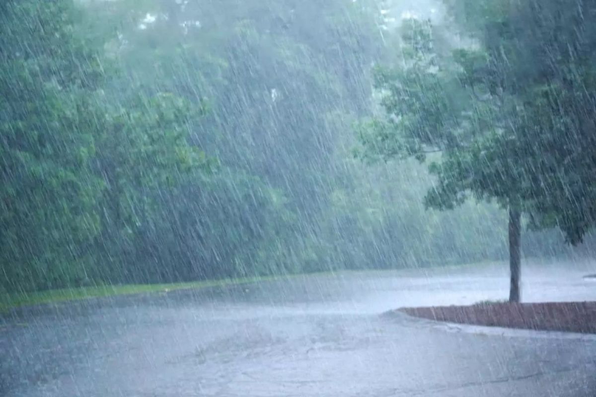 Gujarat completes over 7 per cent of average monsoon season rain
