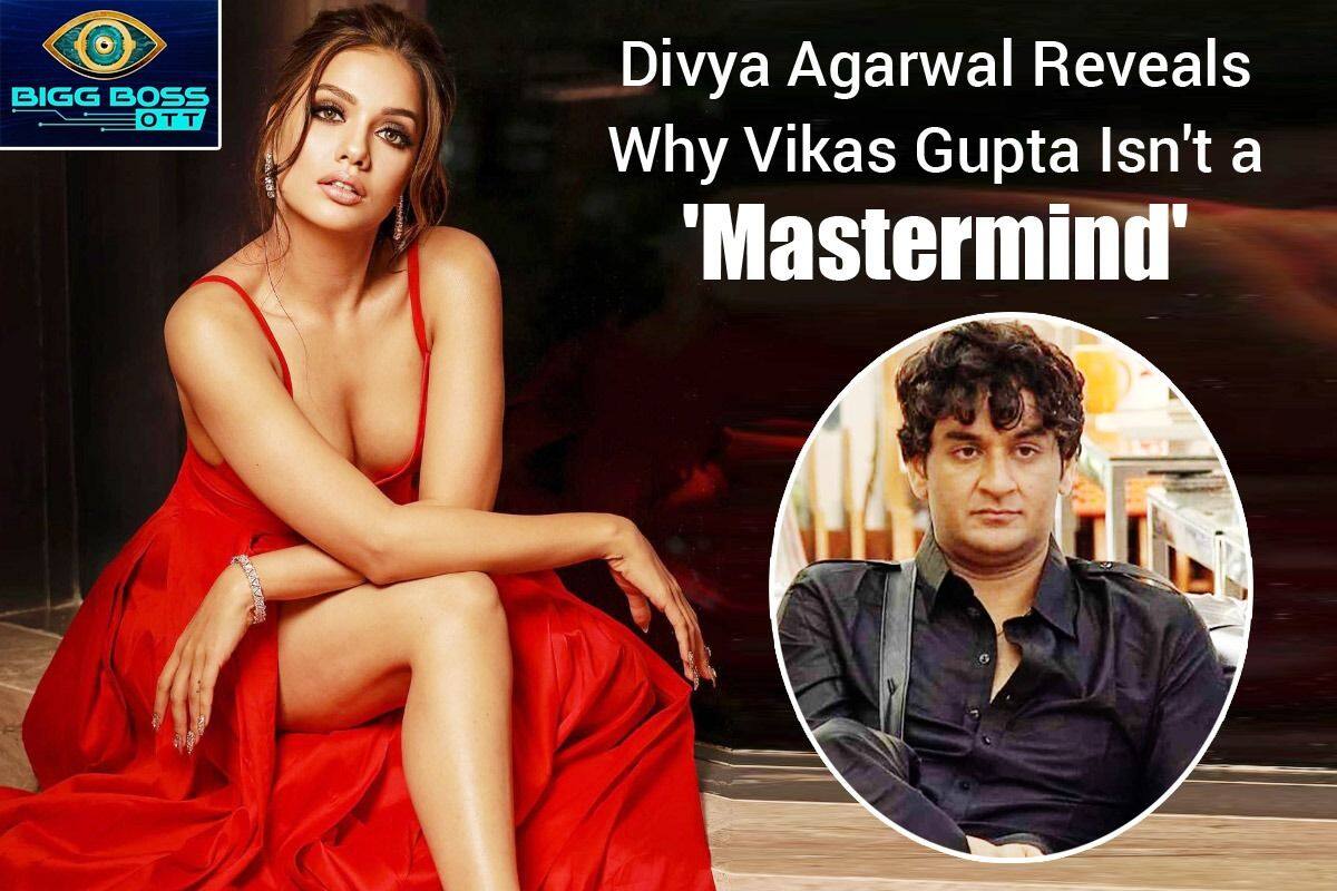 1200px x 800px - Bigg Boss OTT Exclusive | Divya Agarwal Says Vikas Gupta Was Confused, Not  a Mastermind