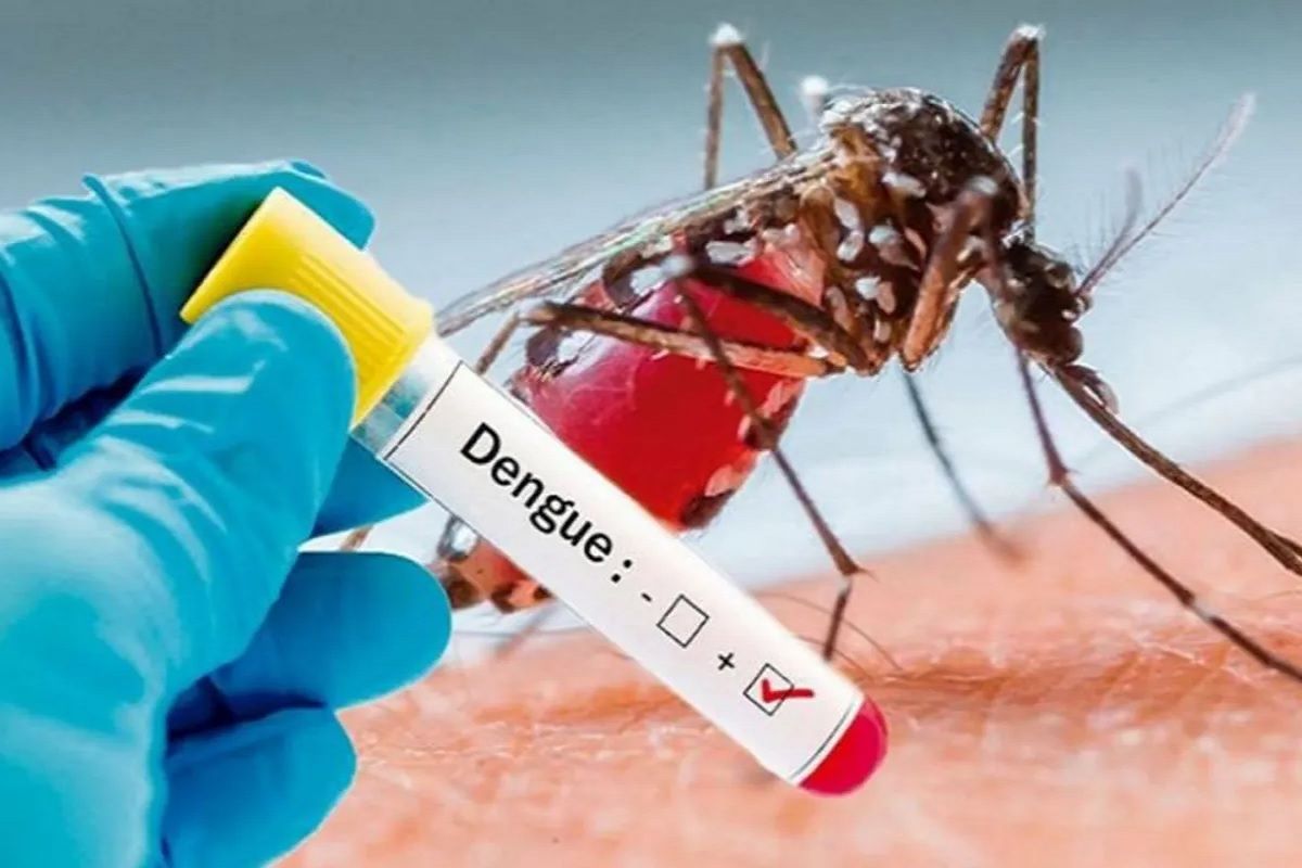 फिरोजाबाद में डेंगू और वायरल बुखार का कहर, अब तक 47 की मौत; तीन डाक्टर  निलंबित - Death toll due to dengue and viral fever reached in firozabad  three doctors suspended -