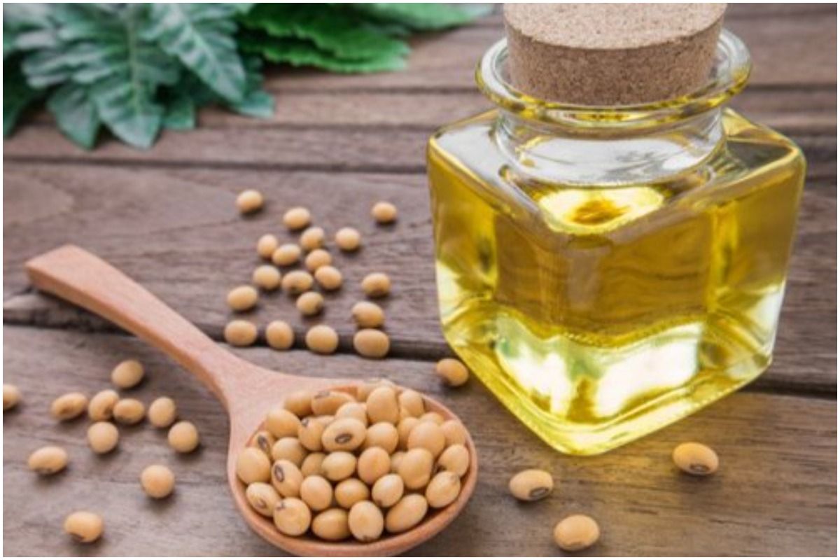 Edible oil Prices to Go down as India Allows DutyFree Import of 20