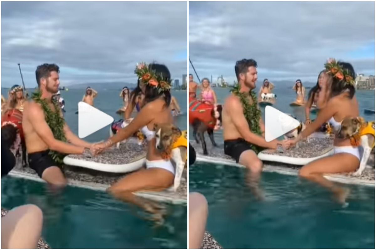 Viral Video: Bride & Groom Get Married on a Boat in Middle of The Ocean, Pet Dogs Also Attend Wedding | Watch
