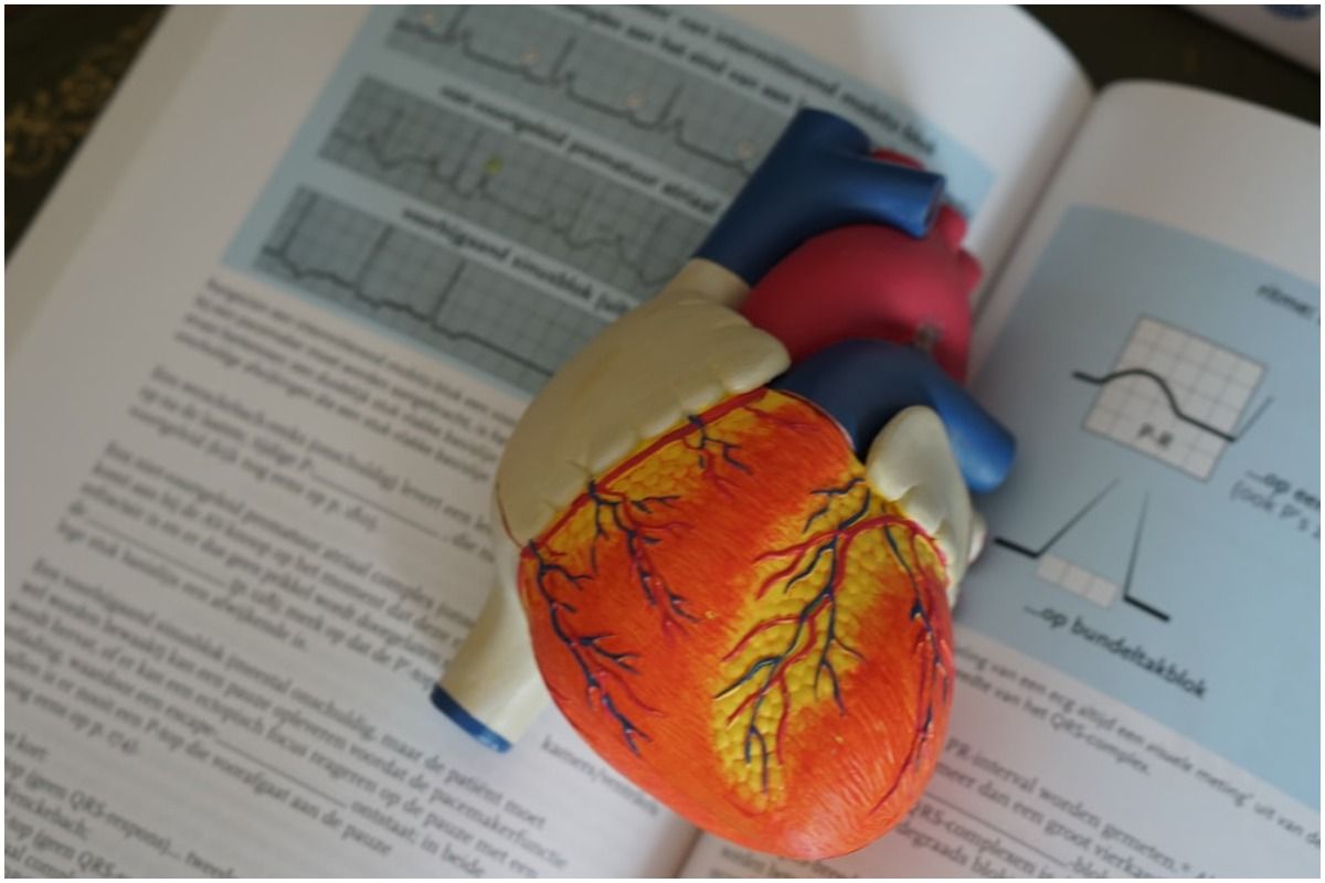 Obese People Have Better Short And Medium-Term Cardiovascular Disease Prognoses: Study
